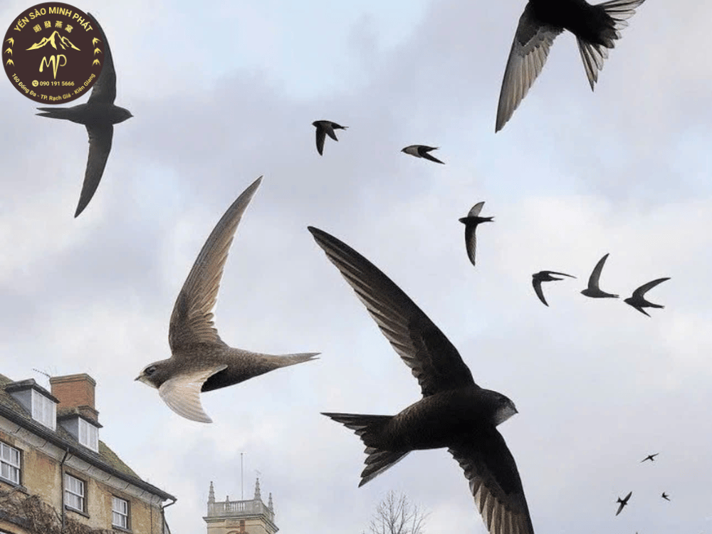 Lưu ý khi sử dụng sản phẩm