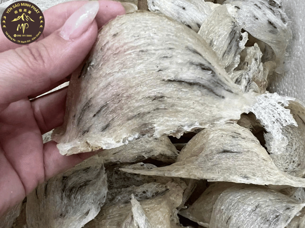 Giới thiệu chi tiết