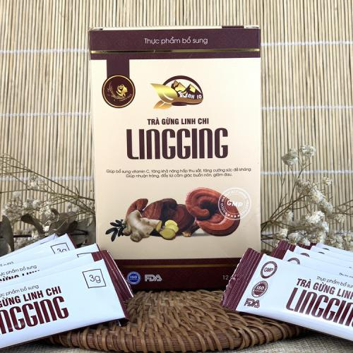 Trà Gừng Linh Chi Lingging