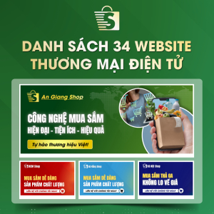 Danh Sách Website TMĐT Của 34 Tỉnh Thành Việt Nam