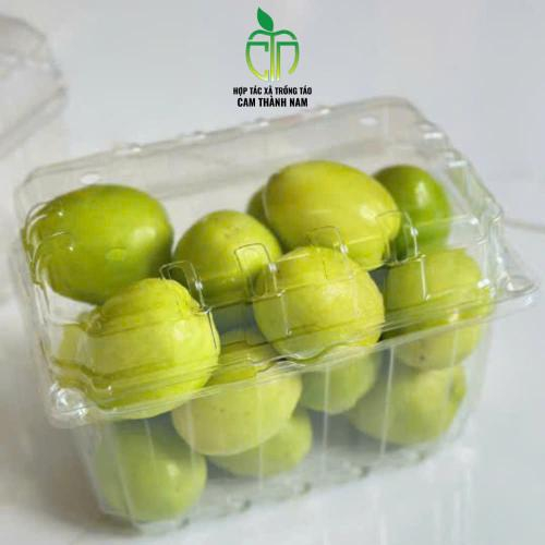 Táo Sạch Cam Thành Nam