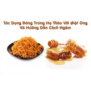 Cách uống Đông trùng hạ thảo tươi ngâm mật ong