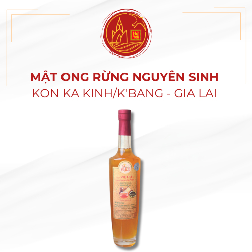 Mật Ong Rừng Nguyên Sinh Kon Ka Kinh/K’Bang 500ml