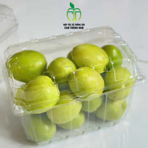 Táo Sạch Cam Thành Nam